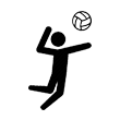 Volleyball